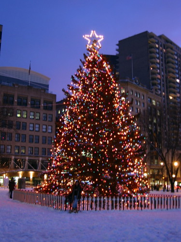 beautiful tumblr backgrounds believe tree We that is  this Halifax Christmas  Tree the