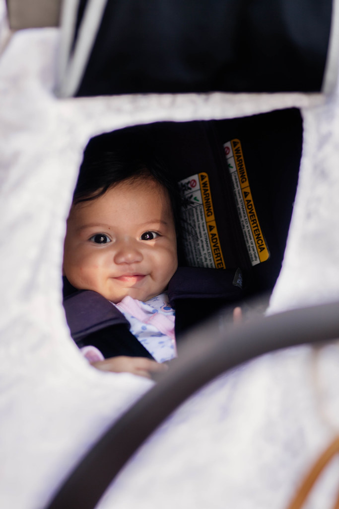 cute & little blog | petite fashion | little dream bird car seat canopy covers review