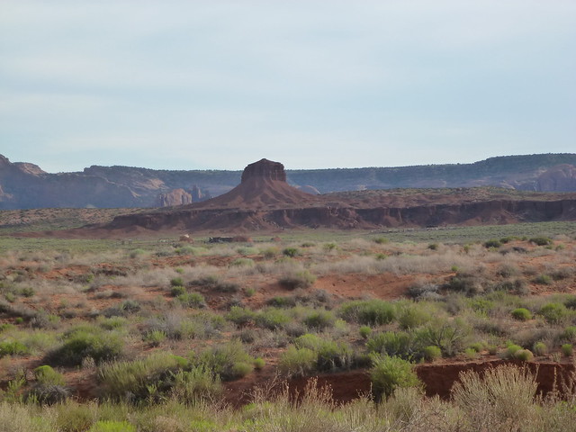 En Ruta por los Parques de la Costa Oeste de Estados Unidos - Blogs de USA - Lower y Upper Antelope Canyon, Monument Valley (43)