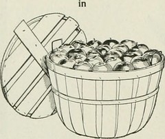 Daisy Powerline 790 Manual Woodworkers