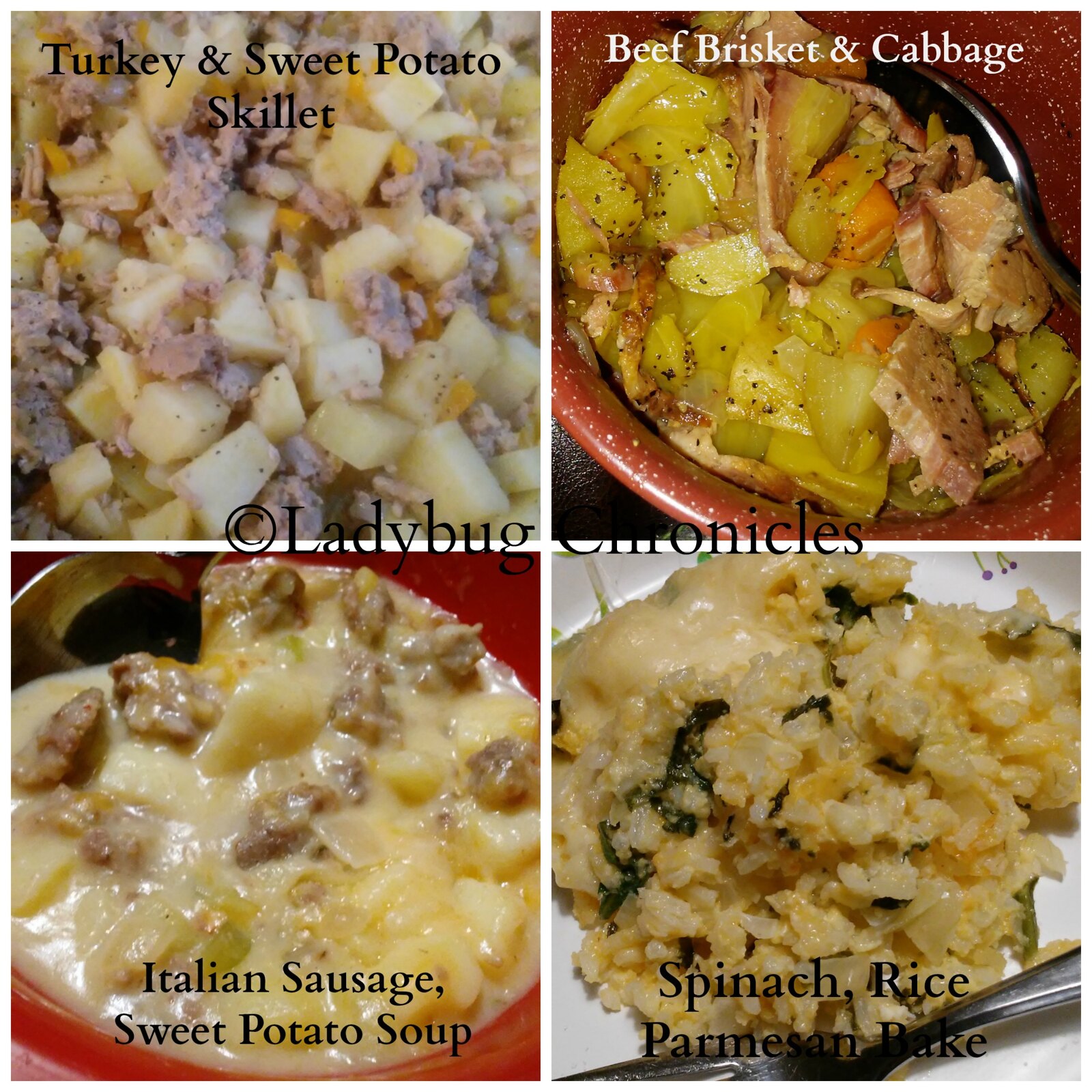 week 2 food collage