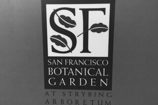 SF Botanical Garden - Poster by roland luistro, on Flickr