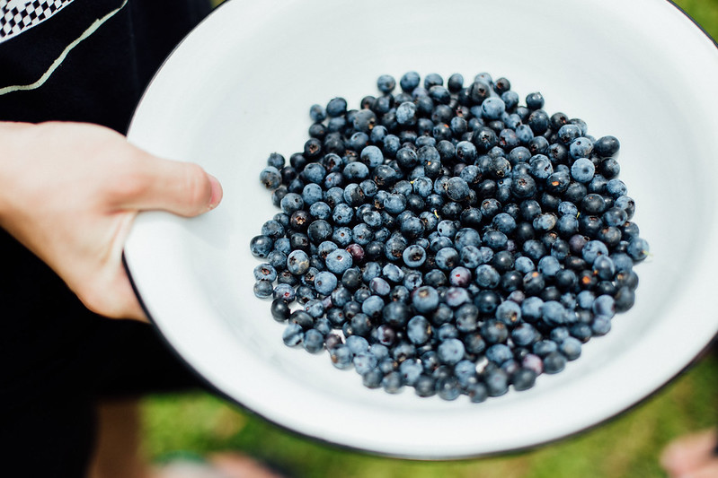 Blueberries Assados