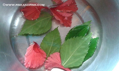 Hibiscus Leaves and flowers for Hair - Hibiscus Hair Pack | Pink and Pink