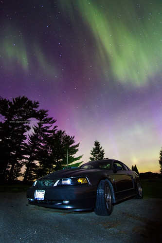Aurora Northern Lights Wisconsin Mustang