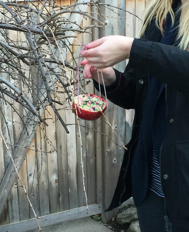 DIY Pomegranate Bird Feeder