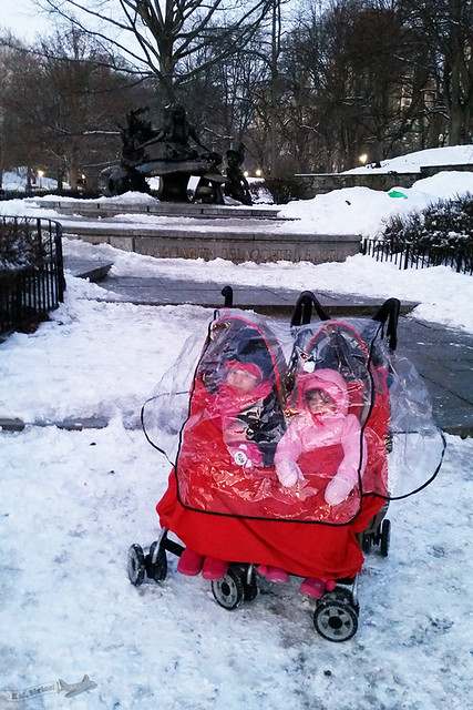Central Park com neve