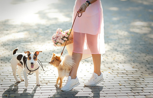 cute-fashion-snap-with-puppies