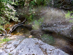 Traversée du ruisseau de Piscia Cava