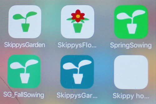 Skippys planting apps IMG_6559