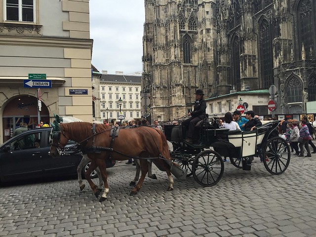 Horse carriage, Vienna, Stephansdom