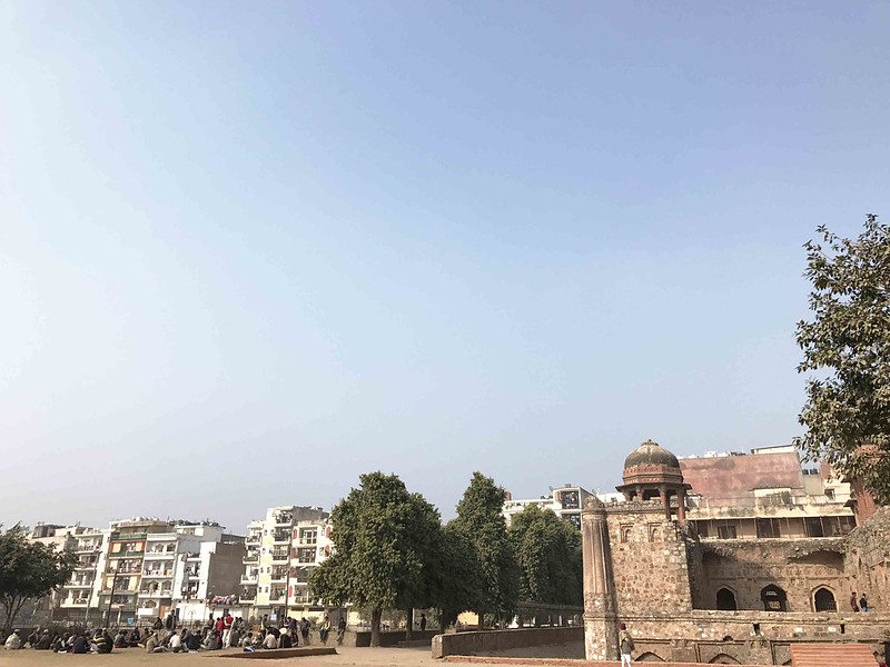 City Monument - Delhi's Vanishing Ruins, Mehrauli