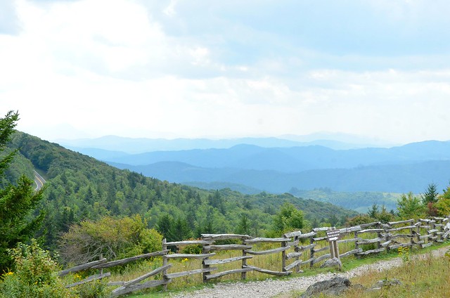 Breathtaking scenery that goes on for miles and miles at Grayson Highlands State Park in Virginia - add this place to your bucket list!