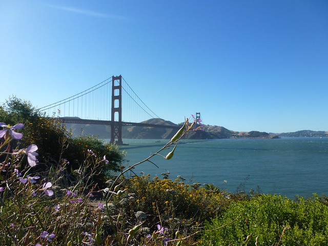 Caminando por Golden Gate, Presidio, Fisherman's Wharf. SAN FRANCISCO - En Ruta por los Parques de la Costa Oeste de Estados Unidos (44)