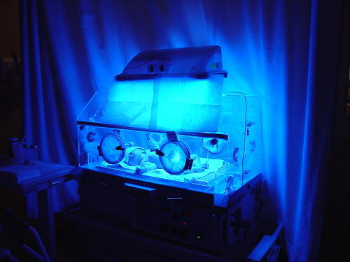 Pasha in incubator with blue light