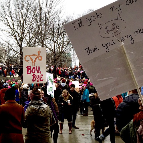 Women's March, Madison