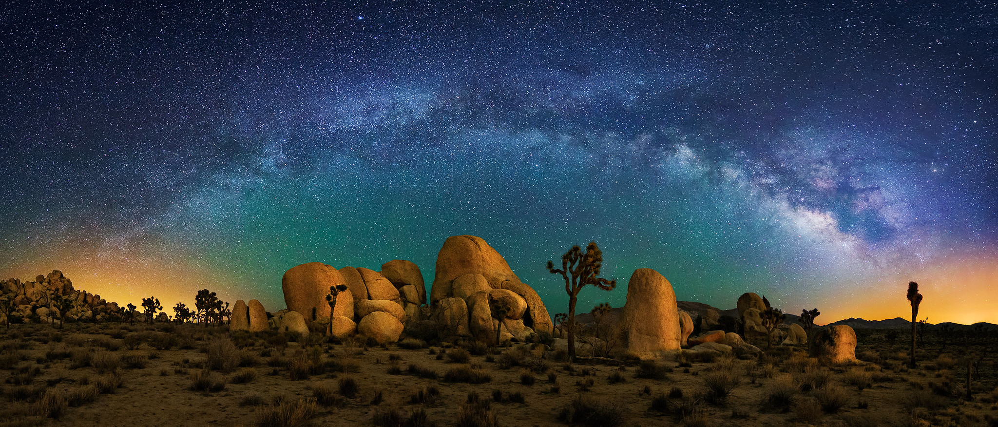 Joshua Tree and Milky Way Panorama