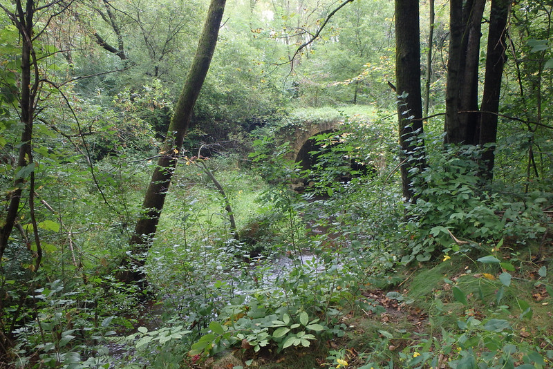 an overlook showing a stone arch bridge, mostly obscured by vegetation
