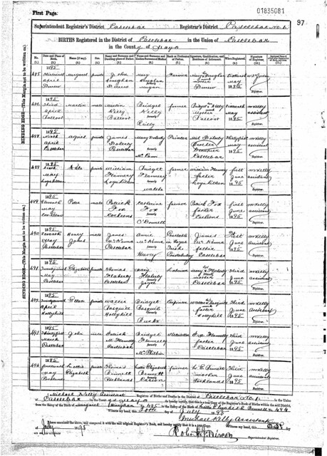 Civil Register of Births, 1895, Castlebar No. 1,