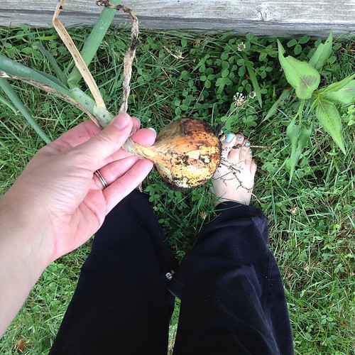 Close to the earth. Bare feet in the grass & picking onions from the garden for our supper #summersoul2015