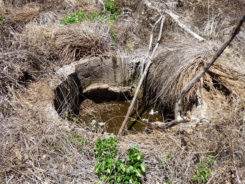 Old Well