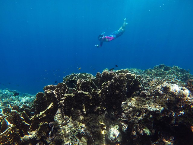 Snorkeling at the Mouth of Bojo River