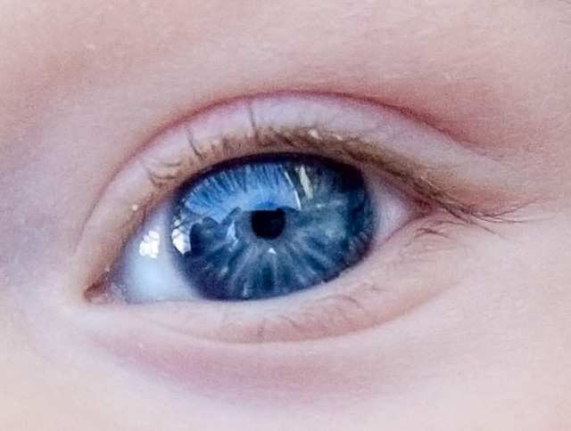 gli occhi blu/azzurri