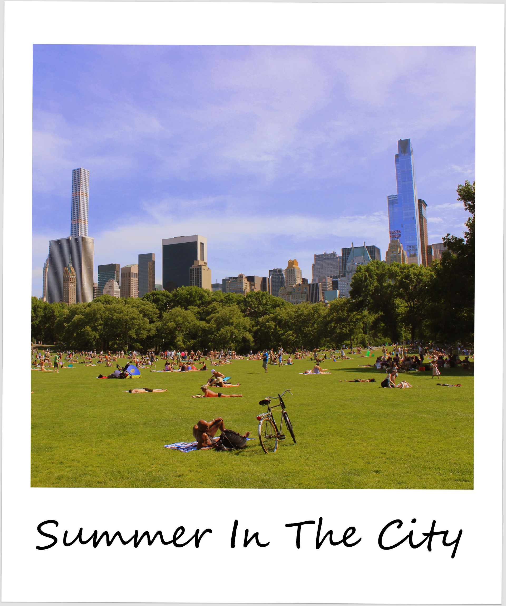 polaroid of the week USA new york city central park 2015