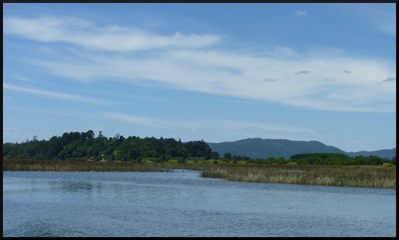Navegando por los ríos de Valdivia - Chile en 3 semanas: de Santiago a la región de Magallanes (12)