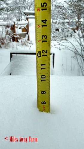 8 inches of snow