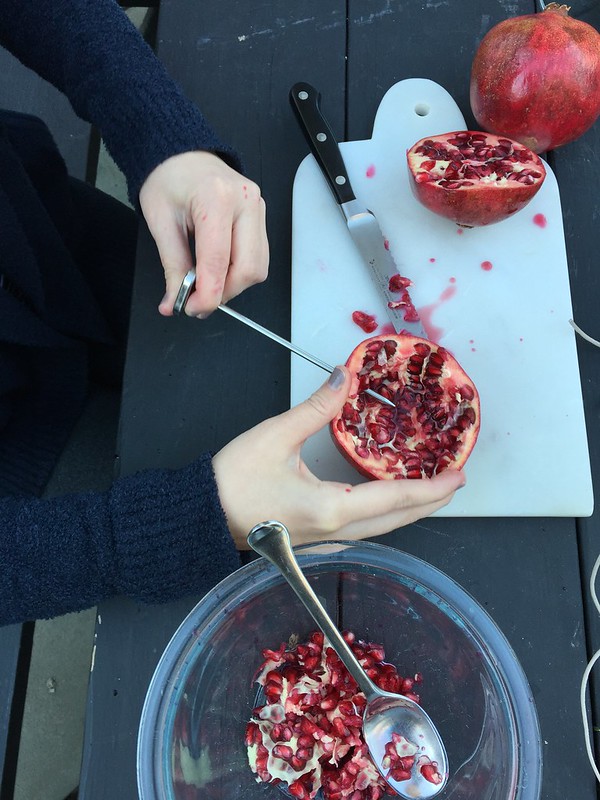 DIY Pomegranate Bird Feeder