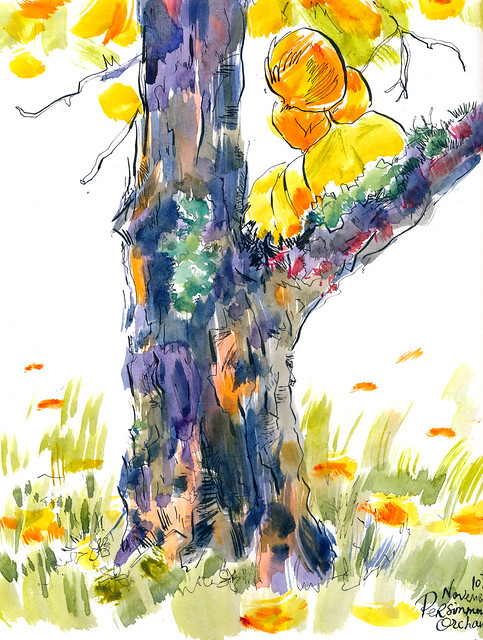 Sketchbook #101: Visiting Persimmon Orchard