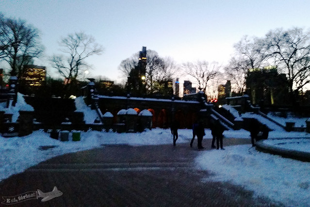 Central Park com neve