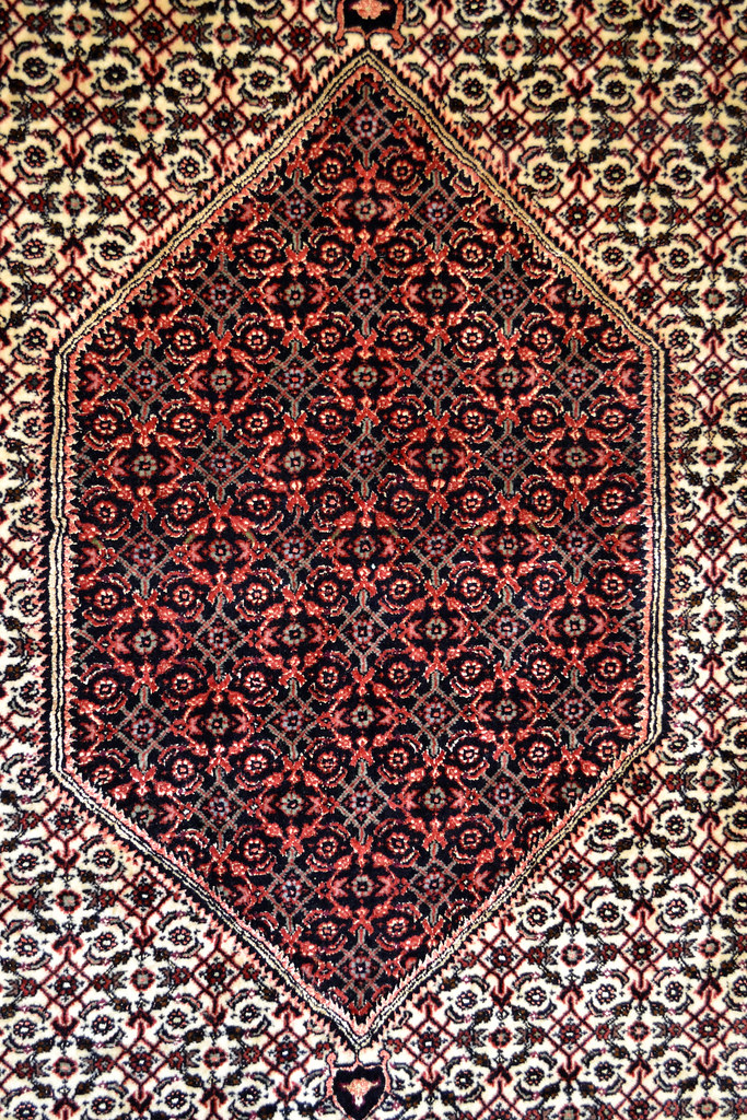 Persian Rug Bidjar 8x11-9x12