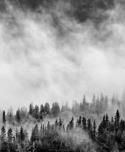 Photographer Curtis Cunningham - misty morning