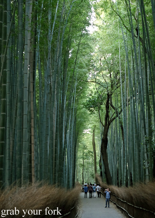 Arashiyama bamboo forest in Kyoto, Japan