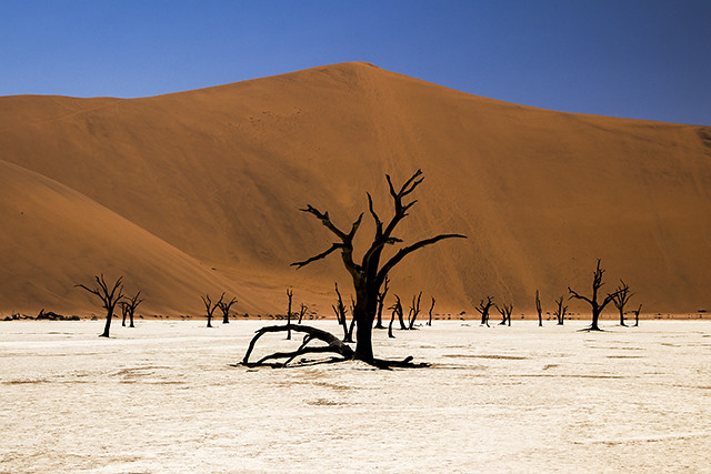 Desierto del Namib - NAMIBIA & KRUGER por libre: 21 días Very WILD (22)