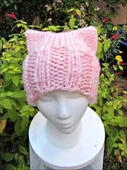 Pussy Hat 3