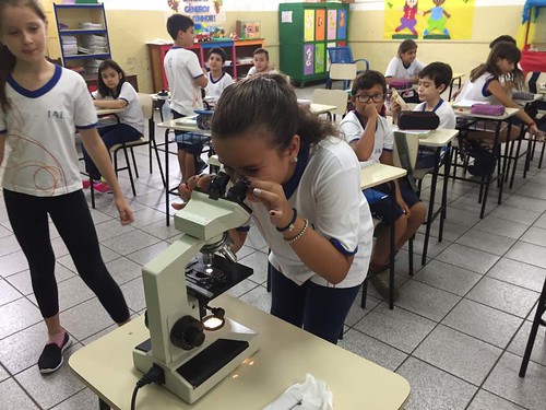 EFI - 5°ano I,II e III aula de ciências utilização do microscópio