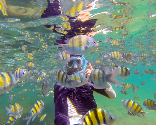 Haciendo snorkel en las islas phi phi de Tailandia