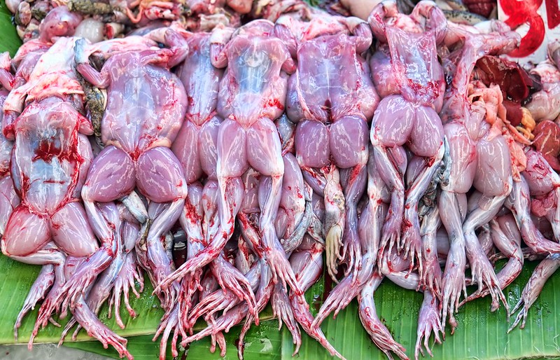 Skinned Frogs