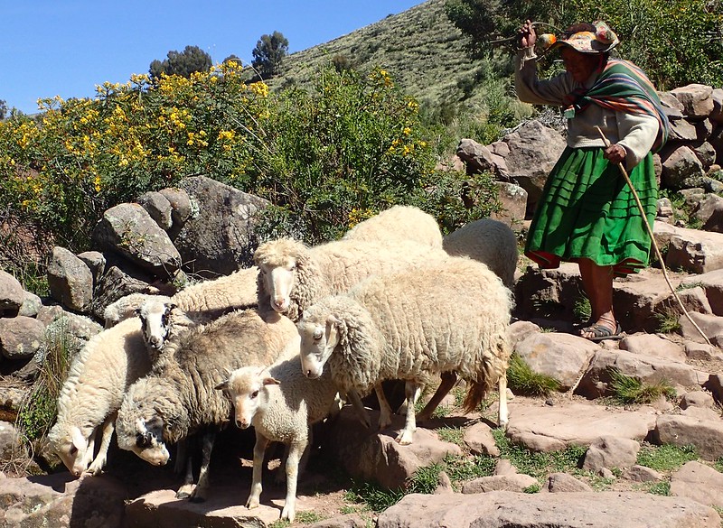 De Llachón a Puno (por la península de Capachica)