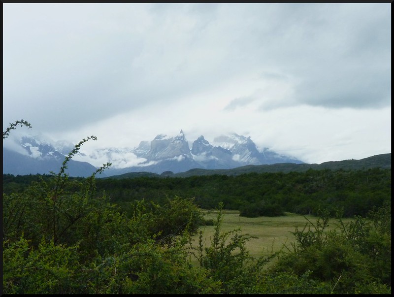 Parque Nacional Torres del Paine - Chile en 3 semanas: de Santiago a la región de Magallanes (9)