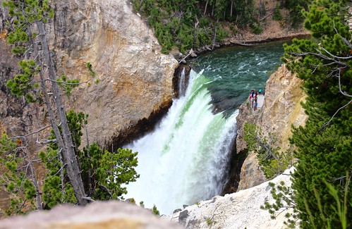 Yellowstone River lower falls