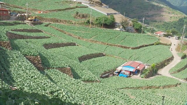 台灣高山農業的發展，無法規避歷史因素。圖片來源：公共電視我們的島