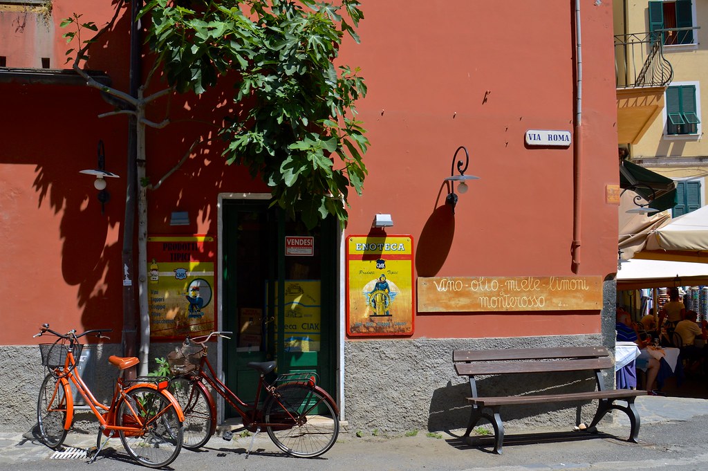 Typical Italian Street - Monterosso