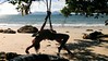 aerial yoga Malaysia island