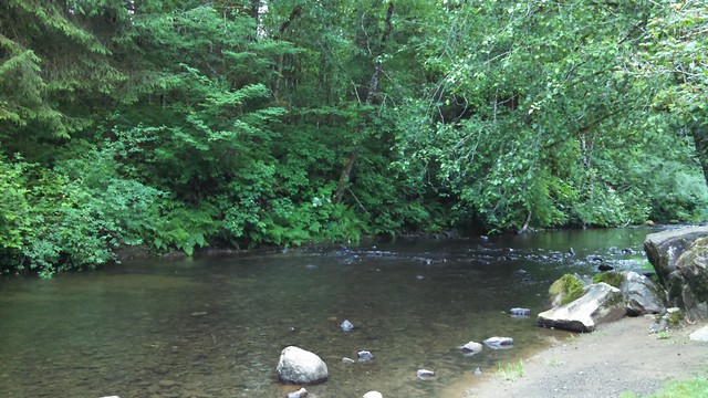 Humbug Creek