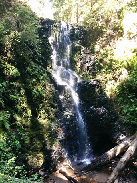 Berry Creek Falls from Aclose
