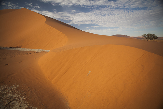 Desierto del Namib - NAMIBIA & KRUGER por libre: 21 días Very WILD (34)